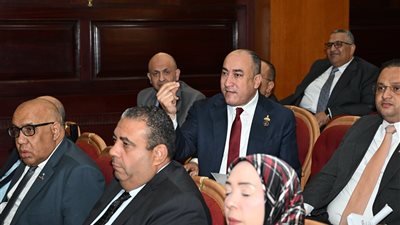 نائب حماة الوطن: مشكلات أبو رواش تعرقل الصناعة وتستوجب تدخل محافظ الجيزة