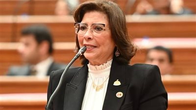 النائبة راندا مصطفى: نعمل على تطوير الحماية الاجتماعية وتعزيز التنمية بالموازنة الجديدة