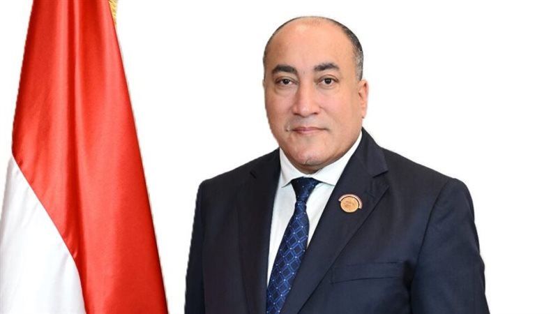 النائب عمرو رشاد