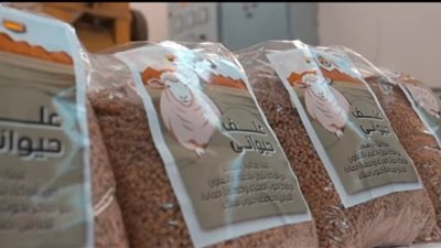 صفر مخلفات.. مبادرة بيئية ومجتمعية من شركة بتروبل بجنوب سيناء