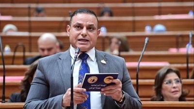 وكيل إسكان النواب: لقاء الرئيس السيسي وترامب يعكس عمق العلاقات المشتركة