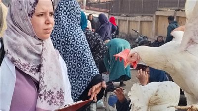 الخدمات البيطرية تنفذ برنامج ترصد وبائي مكثف لحماية الثروة الحيوانية في المحافظات