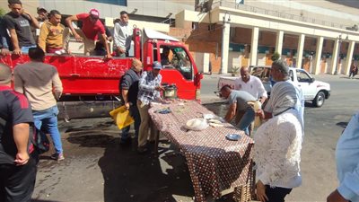 حملة مكبرة لإزالة الإشغالات بحي شرق الإسكندرية