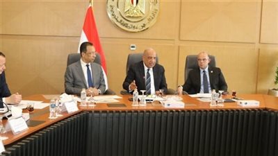 مصر تستعد لطرح مواقع استثمارية لمراكز البيانات بحوافز تنافسية