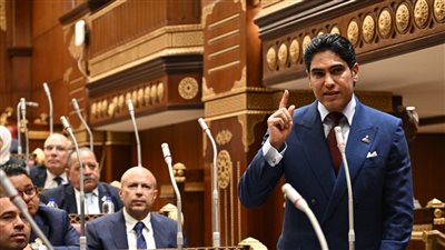 ننشر توصيات لجنة الشئون الاقتصادية بمجلس الشيوخ حول تحديث قانون الشركات 