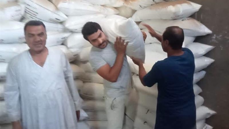 بوابة روز اليوسف