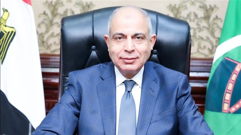 محافظ المنيا 