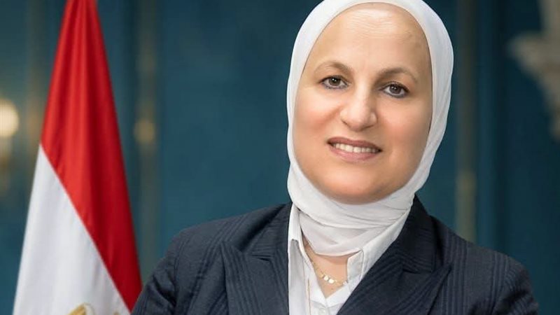 الدكتورة همت إسماعيل