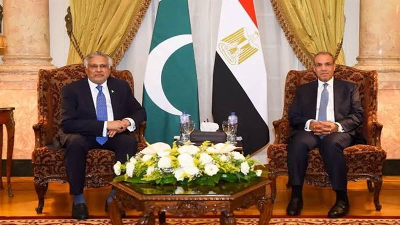 وزير الخارجية يستقبل