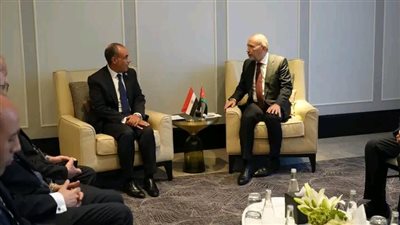 وزيرا الخارجية المصري والأردني يبحثان العلاقات الثنائية والتطورات الإقليمية