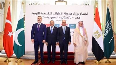 بيان مشترك بشأن اجتماع مجلس المشاركة بين جمهورية مصر العربية والمملكة المتحدة