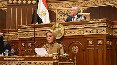مجلس الشيوخ يحيل دراسة تعديل قانون الشركات إلى رئيس الجمهورية