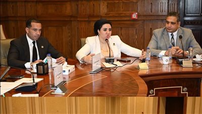 لجنة الطاقة بالشيوخ تناقش اقتراح النائبة أميرة صابر بإنشاء مؤشر وطني سنوي لسوق العمل المصري 