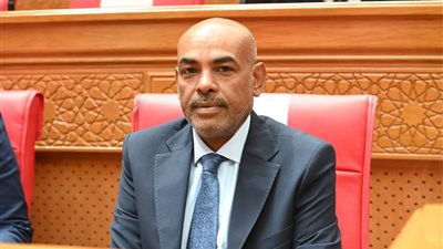 النائب محمد أبو الخير يرفض التعديلات الضريبية ويؤكد : أسوان خارج حسابات الموازنة