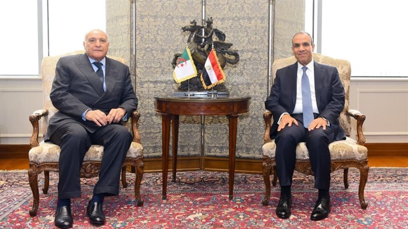 وزير الخارجية يستقبل