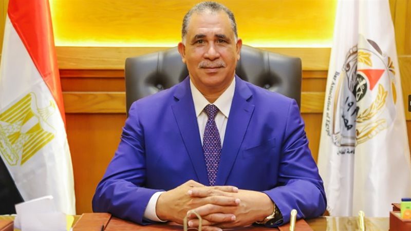 الدكتور عبدالحليم علام نقيب المحامين