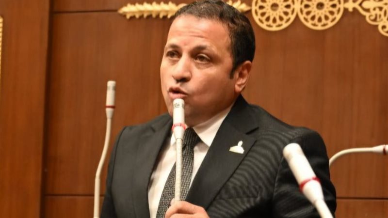 النائب عادل السكري