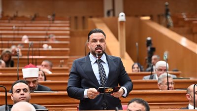 رئيس شباب النواب عن أحداث الفان زون : ممتلكات الدولة ملك للشعب كله ولا بد من الحفاظ عليها