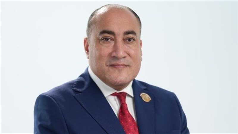 النائب عمرو رشاد