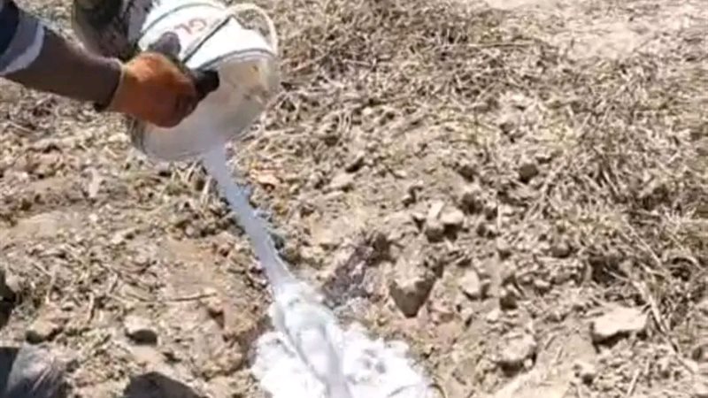 نفذت مديرية الزراعة