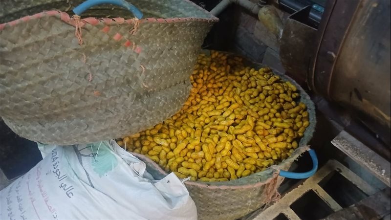 المضبوطات 
