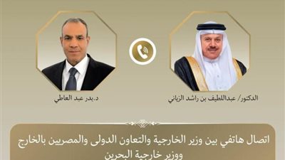وزير الخارجية ونظيره البحريني يشددان على أهمية ضمان أمن الملاحة وحرية المرور في الممرات المائية