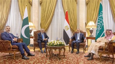 القاهرة تخترق قضايا المنطقة المنسية
