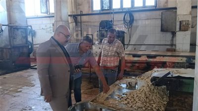 ضبط 300 كيلو عسل منتهي الصلاحية بمصنع بسكويت بسمالوط في المنيا