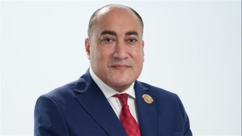 النائب عمرو رشاد
