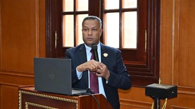 برلماني: ثورة 30 يونيو أنقذت مصر من الفوضى ومهدت لبناء دولة قوية حديثة