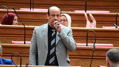 البيومي يطالب بدراسة اكتوارية قبل تعديلات المساهمة التكافلية