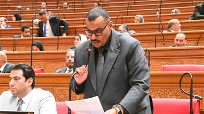 النائب أحمد العجوز يطالب بتعديلات على قانون الضريبة على الدخل.. ورد حاسم من وزيرى المالية والمجالس النيابية
