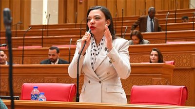 النائبة مى كرم جبر توافق على مشروع قانون العلاوة وزيادة الحافز الإضافي للموظفين.. وتطالب بالسيطرة على الأسعار