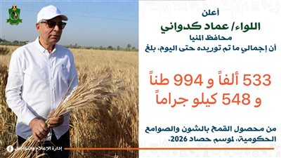 انتظام أعمال توريد القمح واستلام 533 ألف طن لدعم المخزون الاستراتيجي بالمنيا