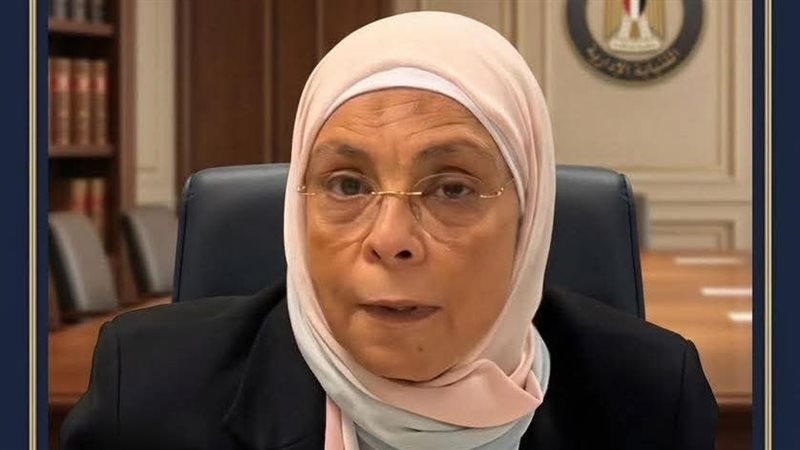 النيابة الإدارية