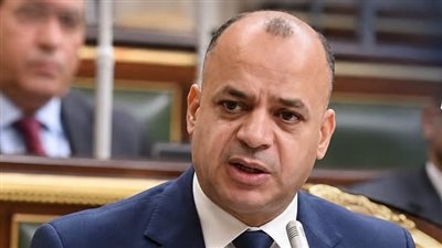 برلماني يطالب بخطة عاجلة لتحويل القرى إلى 