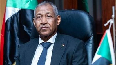 سفير السودان يهنئ الرئيس السيسي والشعب المصري بذكرى ثورة 30 يونيو