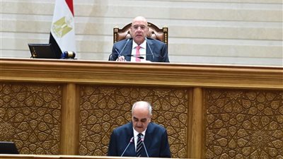 مجلس النواب يوافق على اتفاق الوضع القانوني للاتحاد الدولي لجمعيات الصليب الأحمر والهلال الأحمر في مصر
