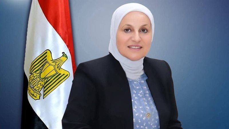الدكتورة همت إسماعيل
