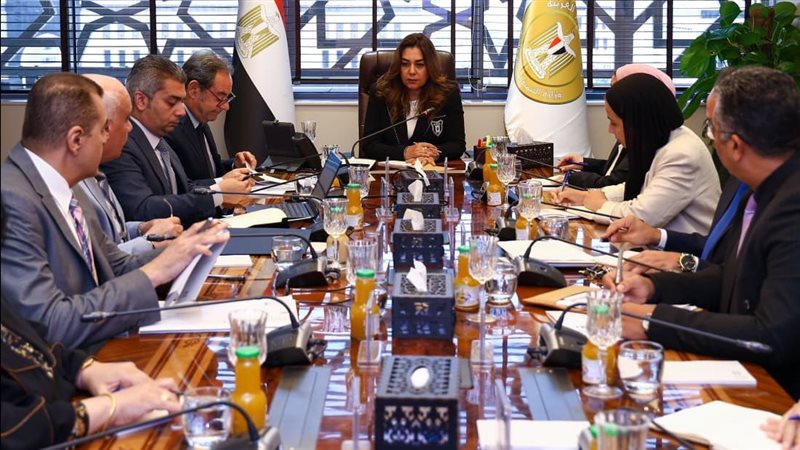 اجتماع وزيرة التنمية