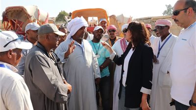 نائب محافظ الجيزة تتفقد منظومة ركوب الدواب بالأهرامات وتتابع الالتزام بالتعريفة والخطوط