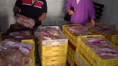 ضبط طن و350 كيلو دواجن داخل مجزر غير مرخص بالغربية