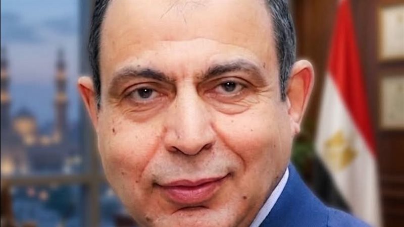 محافظ المنيا 