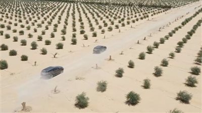 مناقشات موسعة حول دور 