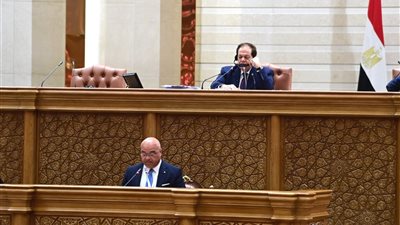 أبو العينين: لا تنمية دون سلام.. وحان وقت إطلاق مرحلة جديدة من التكامل