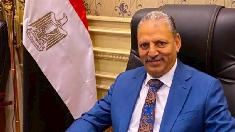 النائب إبراهيم المصري