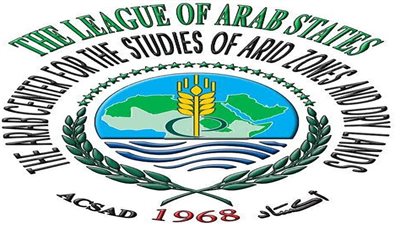 مدير عام 