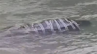 العثور على جثة لشخص مجهول الهوية فى بحر مويس ببنها