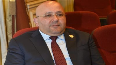 عيسى: استعراض السيسي لقدرات الدولة في مواجهة الأزمات يؤكد التطور غير المسبوق للمؤسسات المصرية
