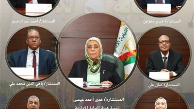 ننشر تشكيل المجلس الأعلى للنيابة الإدارية الجديد